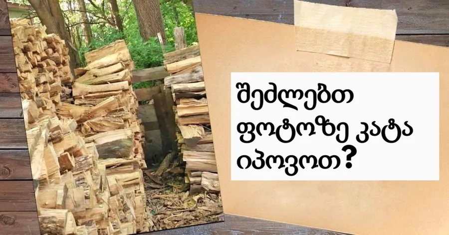 თუ ამ ფოტოზე 30 წამში კატას იპოვით, ტესტის ავტორები ამბობენ, რომ ეს კარგ მხედველობასა და ინტელექტზე მიანიშნებს