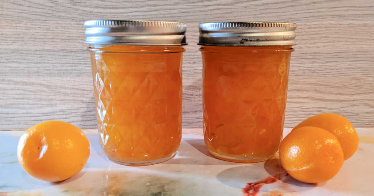 mason-jars-of-kumquat-jam-1738664161.jpg