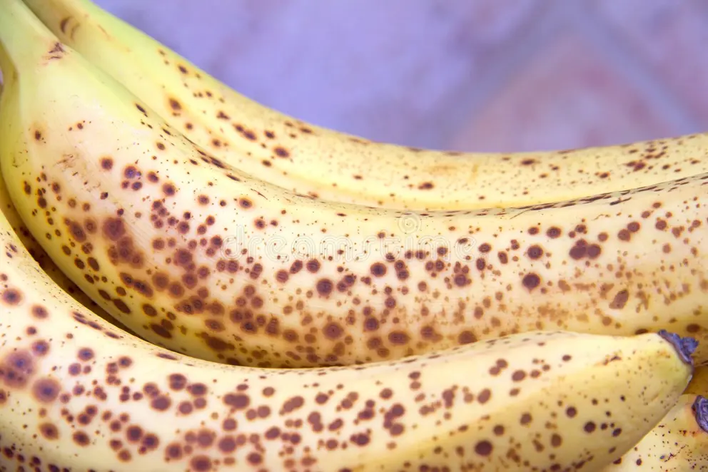 close-up-over-ripe-bananas-yellow-brown-spots-forming-253560713-1778873154.webp