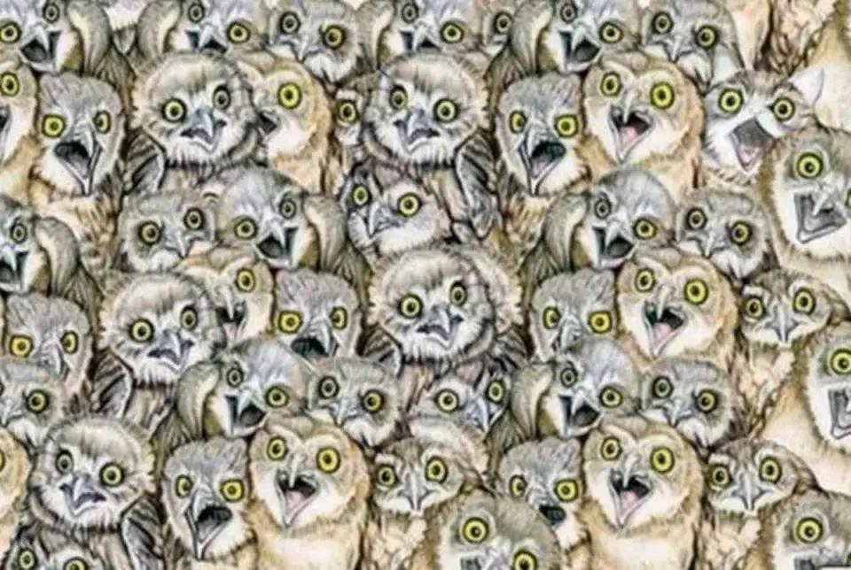 960x644-0xghtrwmpx-1407500898051262526-1785862923.jpg