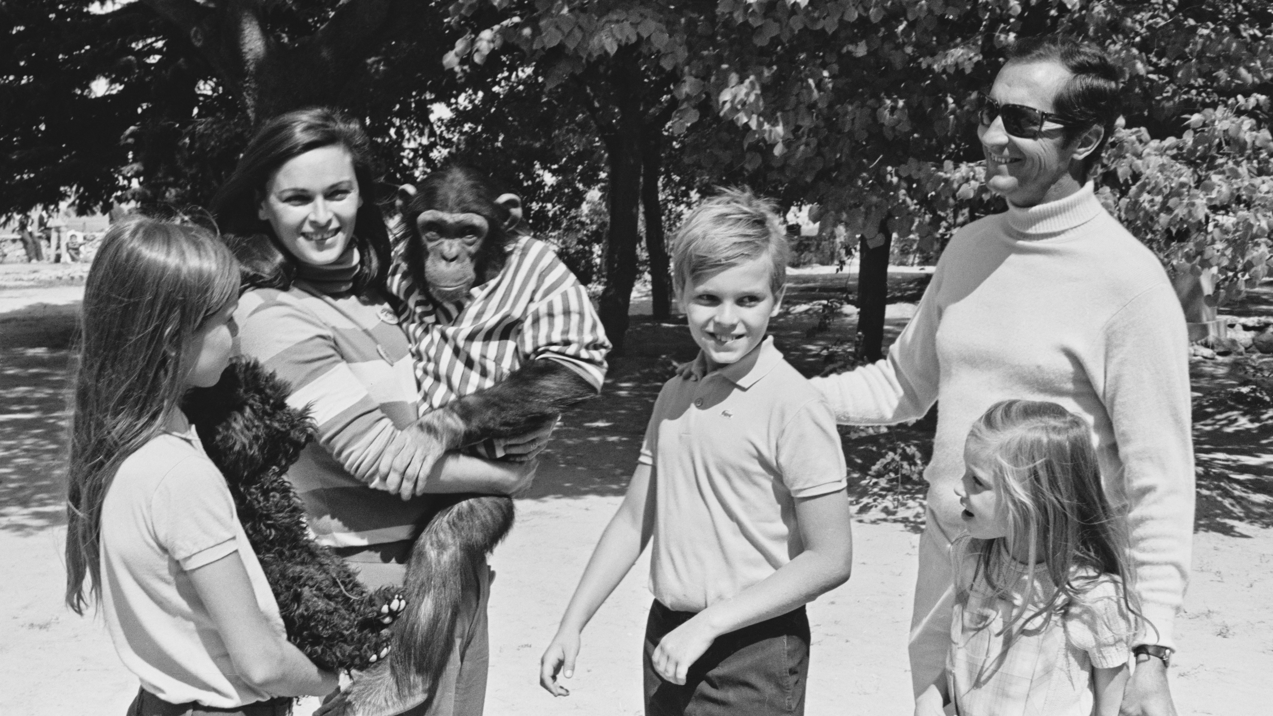chimp-families-1-1786653936.jpg