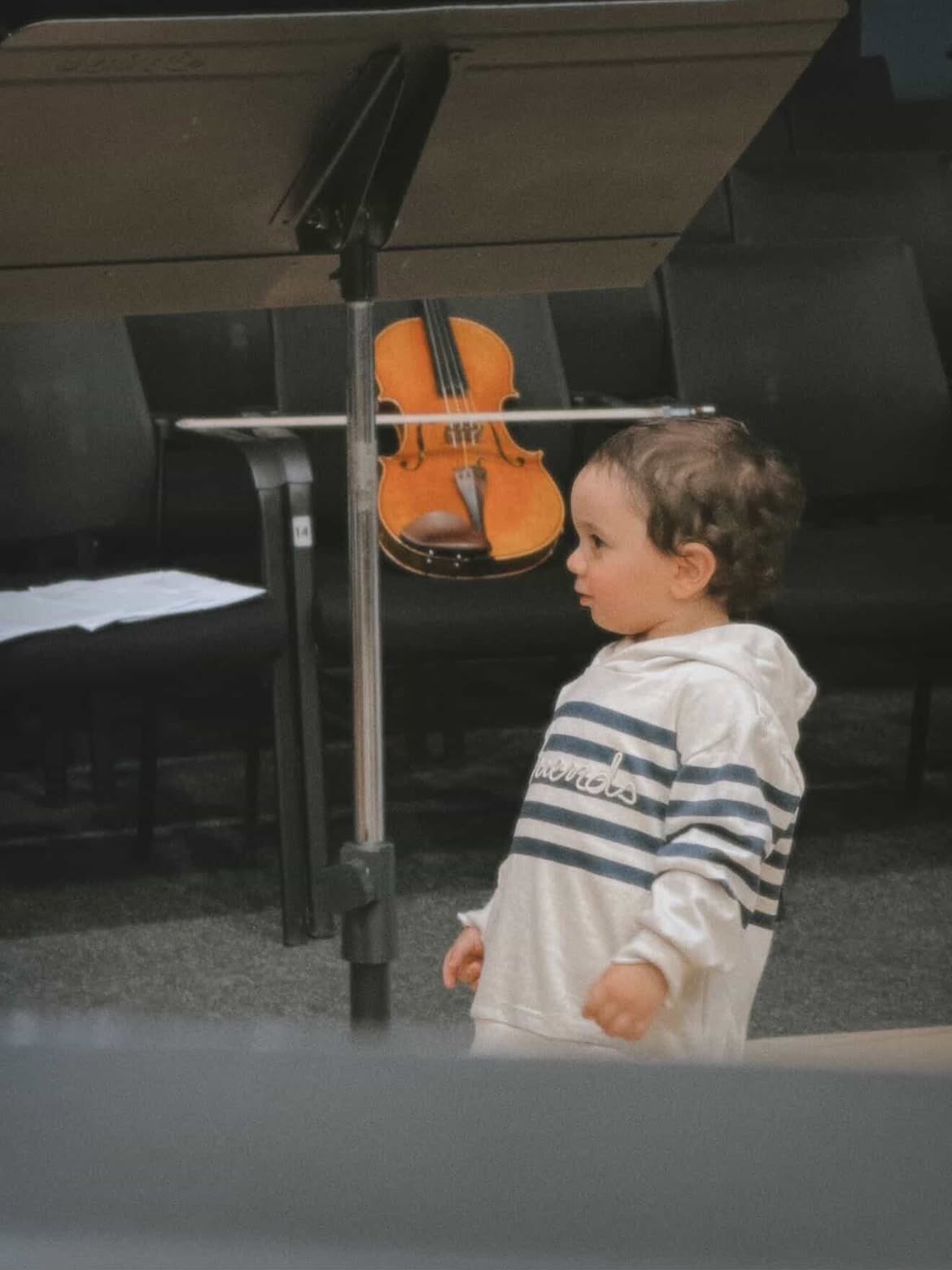 zagareliandstrings-1788972188.jpg