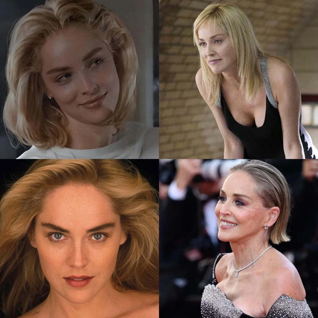 what-happened-to-sharon-stones-career-v0-sipdqc5vaa7h1-1792750158.webp