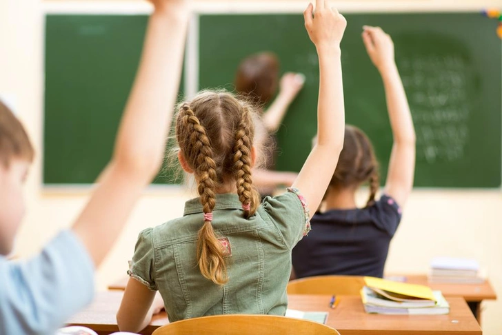skola-1793079203.webp